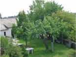 Image de l'item