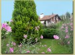 Image de l'item
